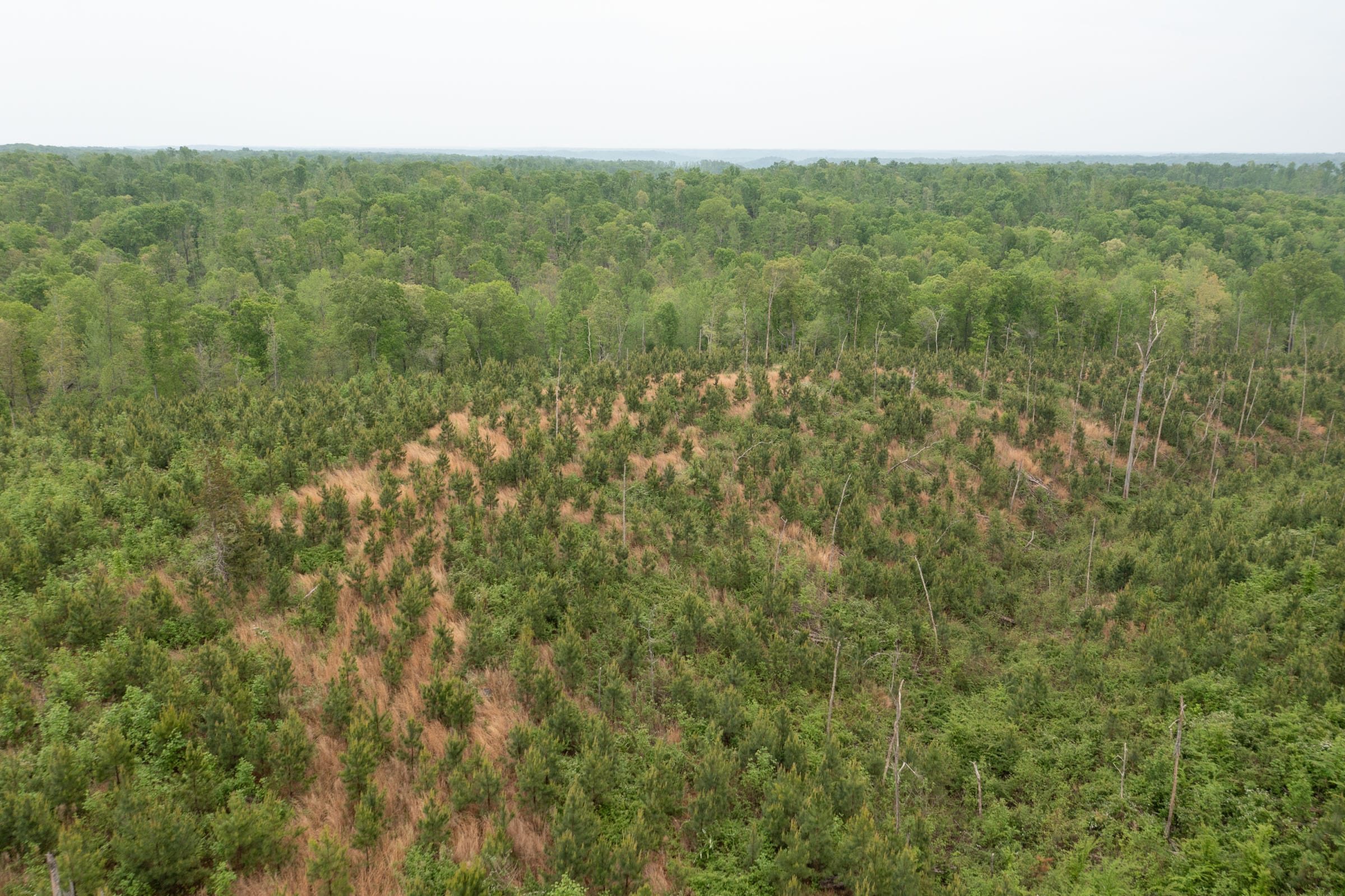 Red Barn Ranch Tract 45 photo 13
