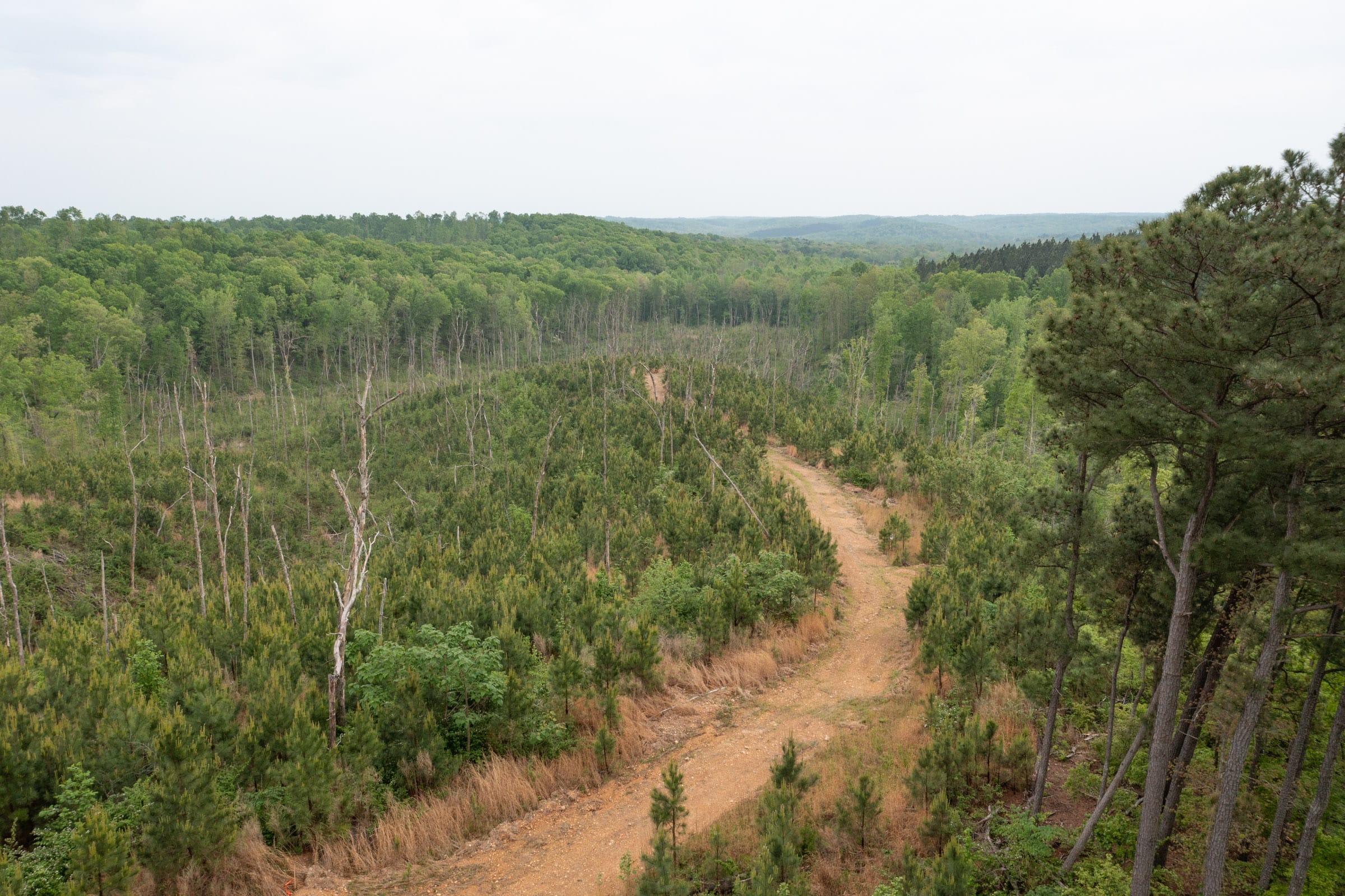 Red Barn Ranch Tract 45 photo 14