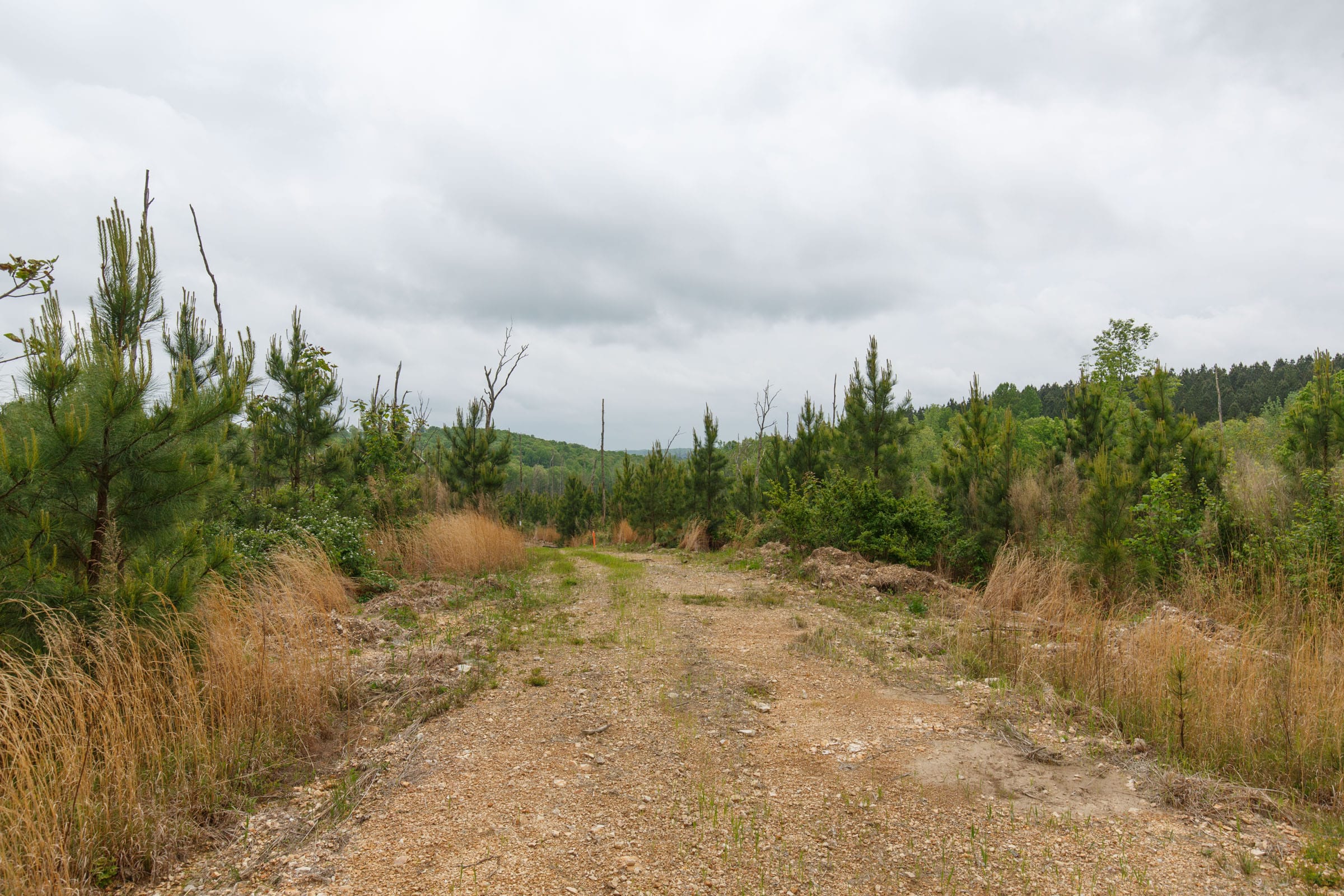 Red Barn Ranch Tract 45 photo 9