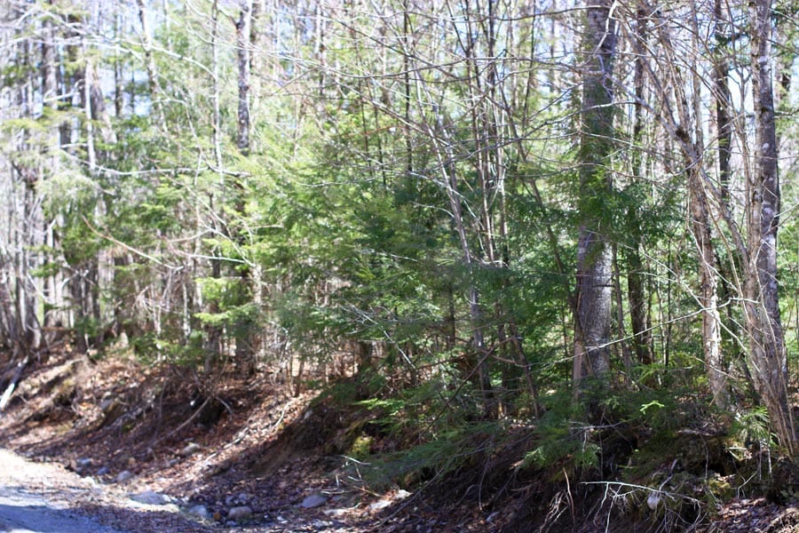 Pleasant Ridge Ranch Tract 2 photo 3