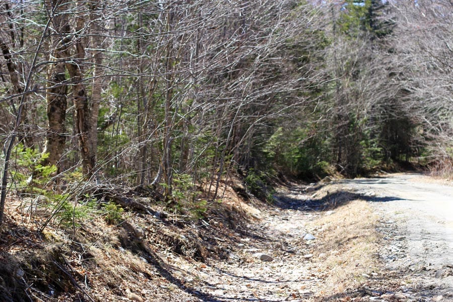 Pleasant Ridge Ranch Tract 2 photo 4