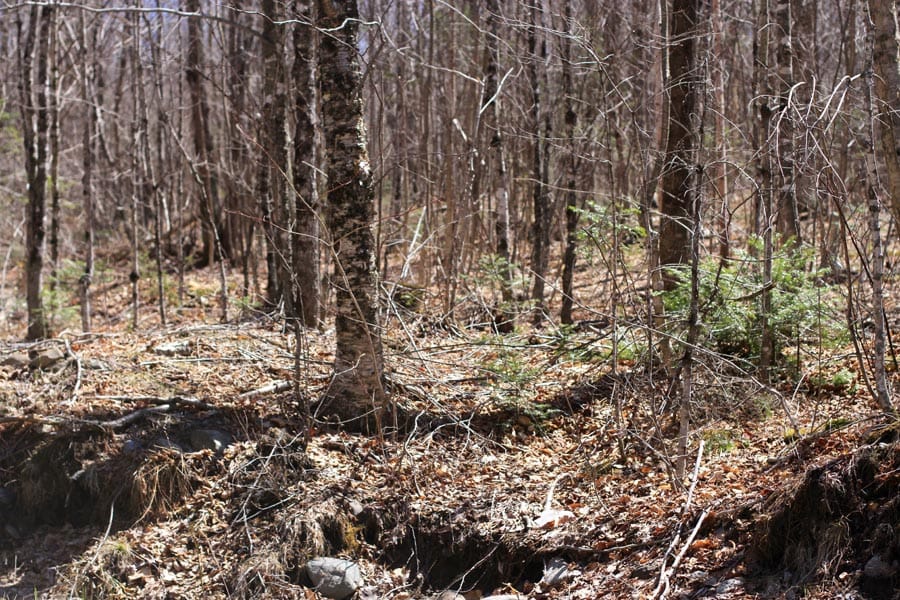 Pleasant Ridge Ranch Tract 2 photo 17
