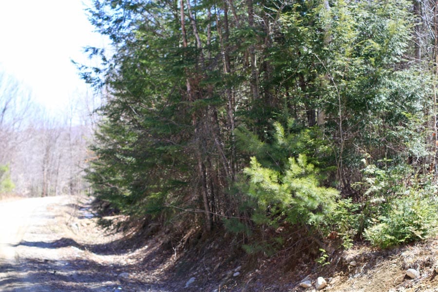 Pleasant Ridge Ranch Tract 2 photo 20
