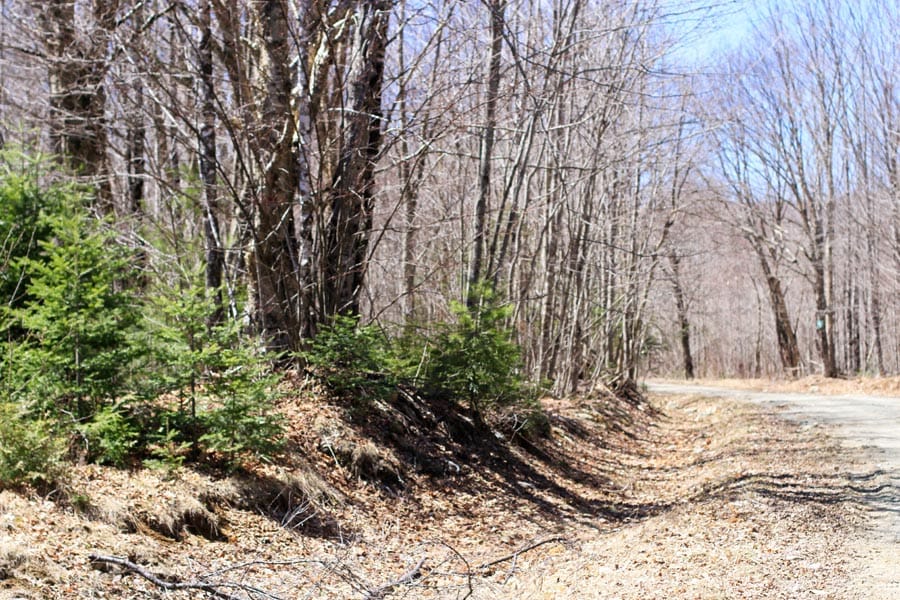 Pleasant Ridge Ranch Tract 2 photo 21