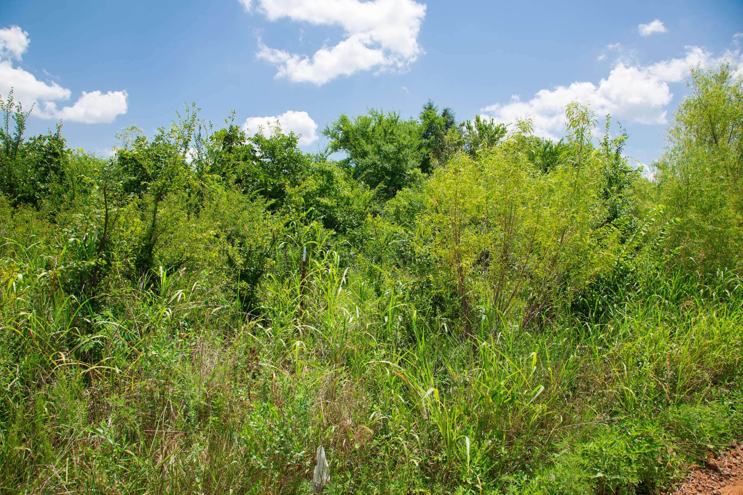 Deep Fork Ranch Tract 14 photo 2