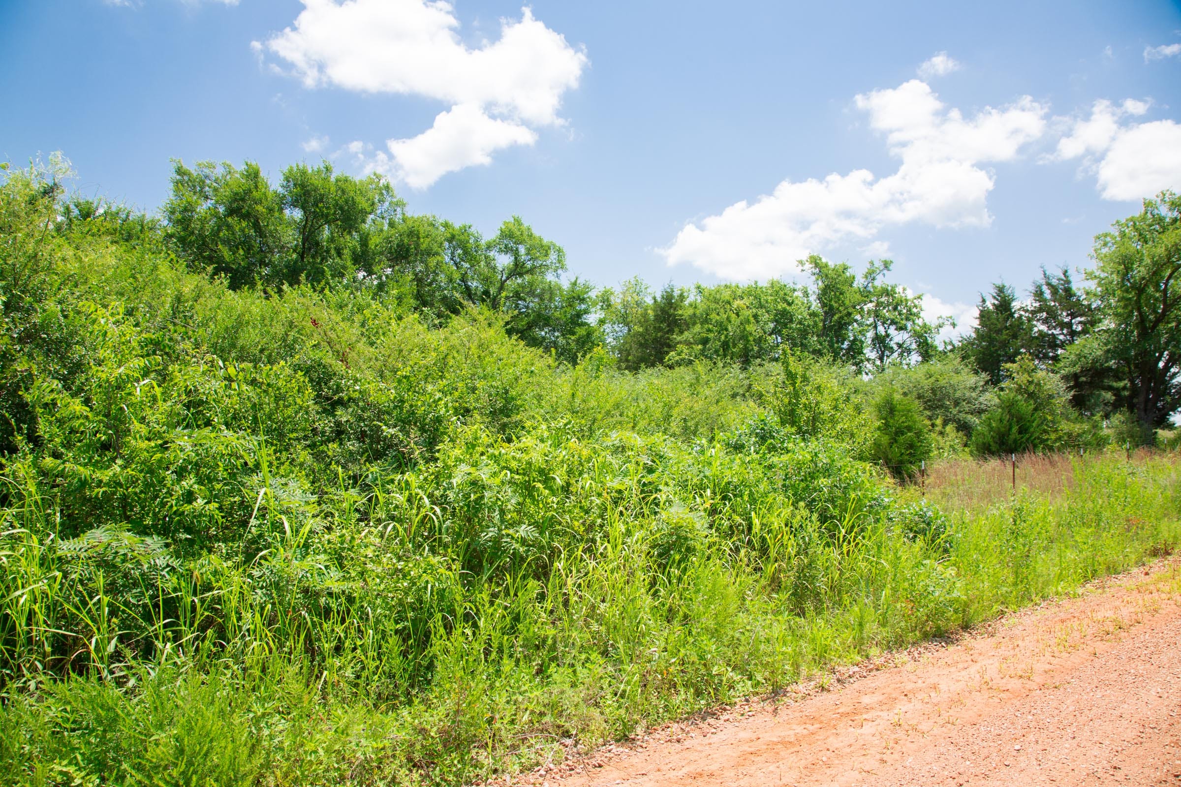 Deep Fork Ranch Tract 14 photo 7