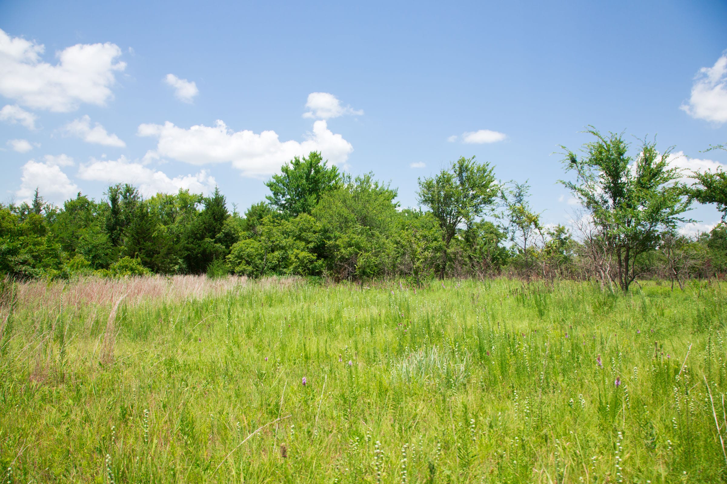 Deep Fork Ranch Tract 14 photo 10