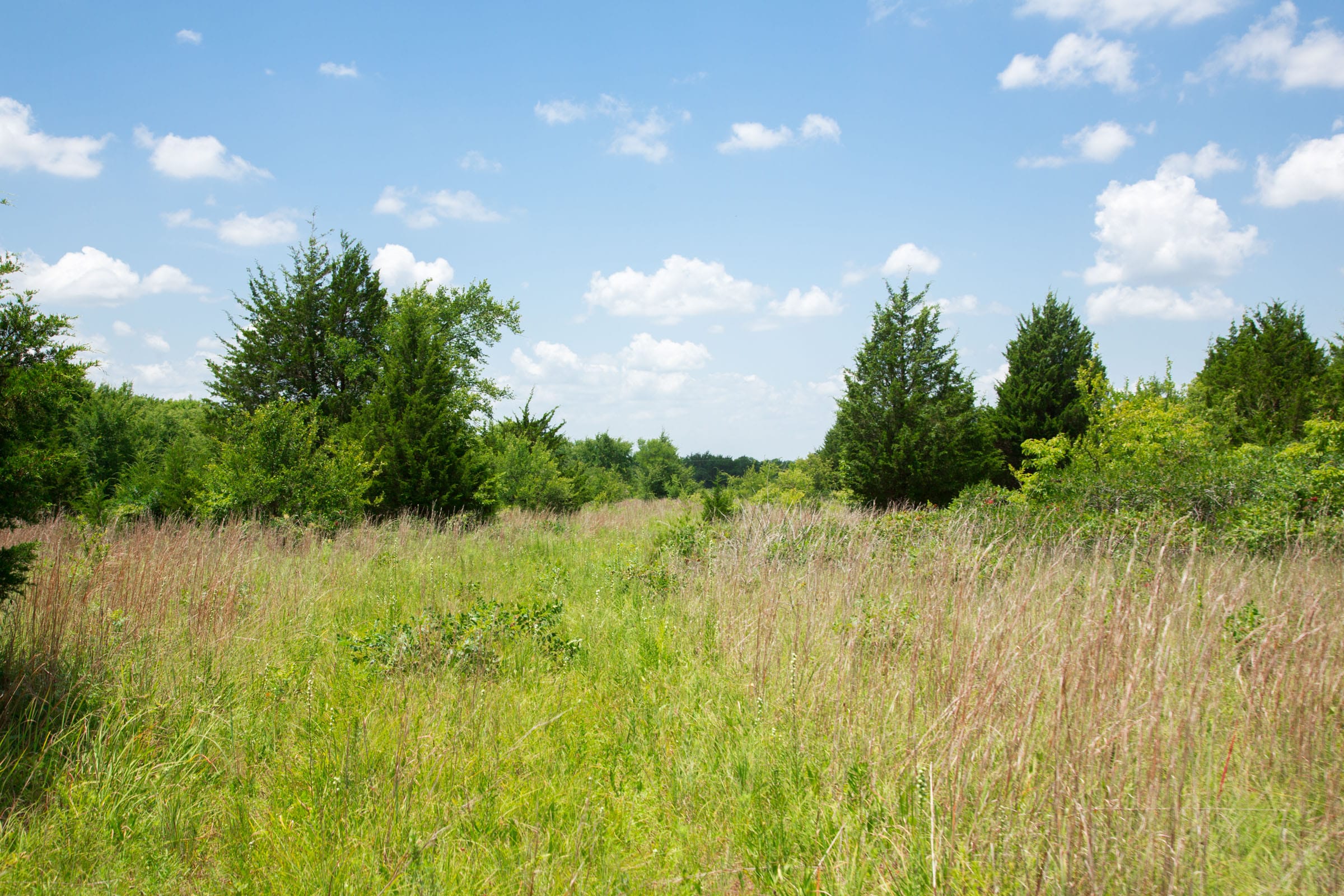 Deep Fork Ranch Tract 14 photo 12