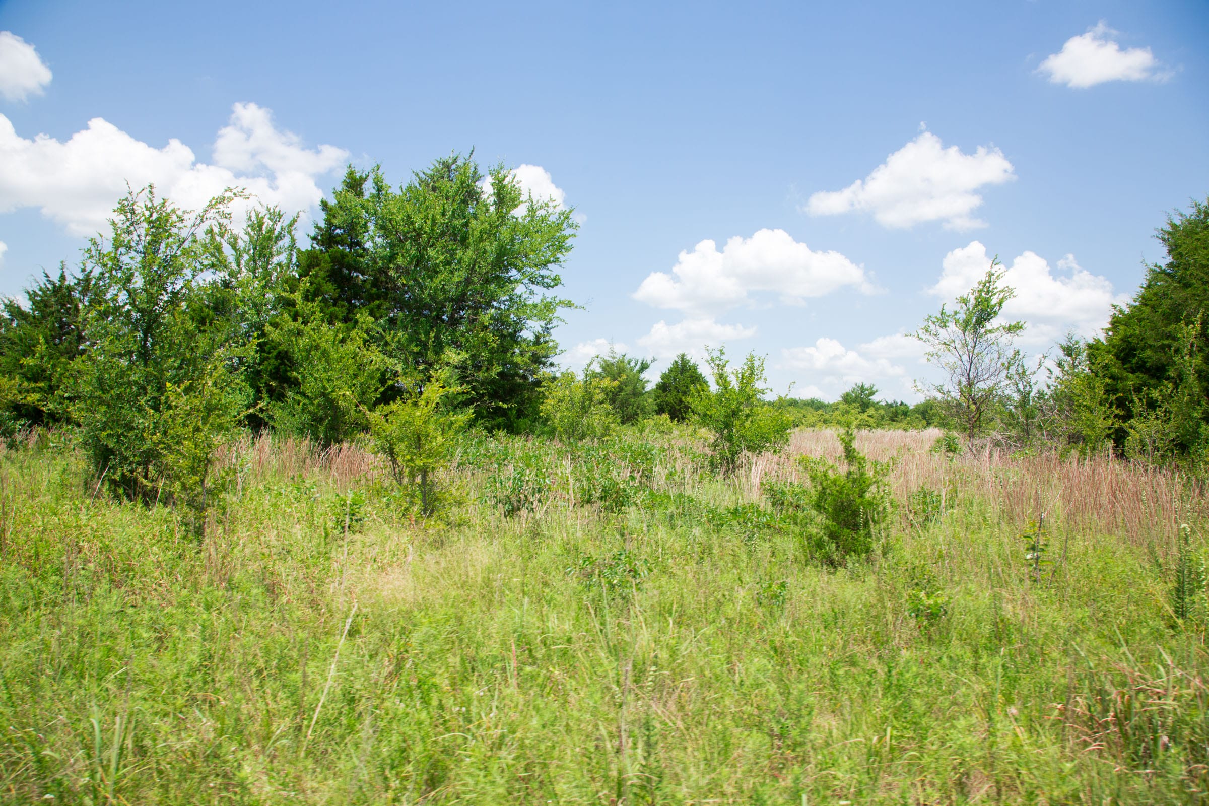Deep Fork Ranch Tract 14 photo 13