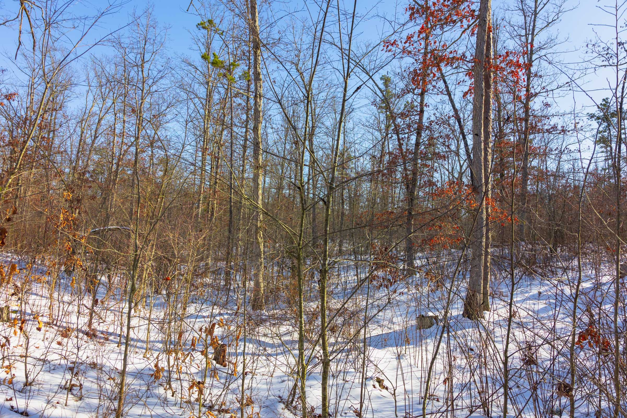 Sleepy Hollow Phase I Tract 30 photo 8