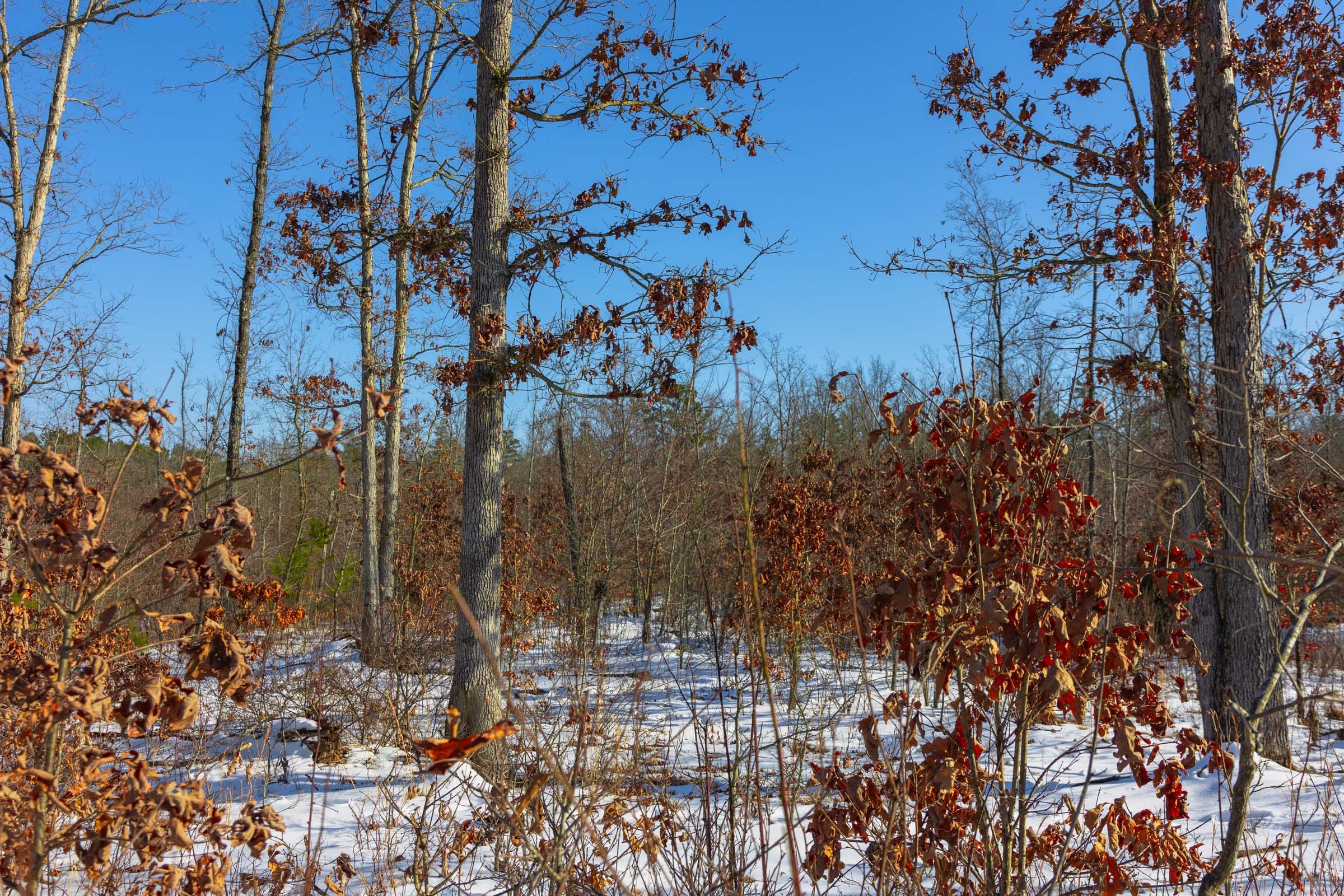 Sleepy Hollow Phase I Tract 30 photo 7