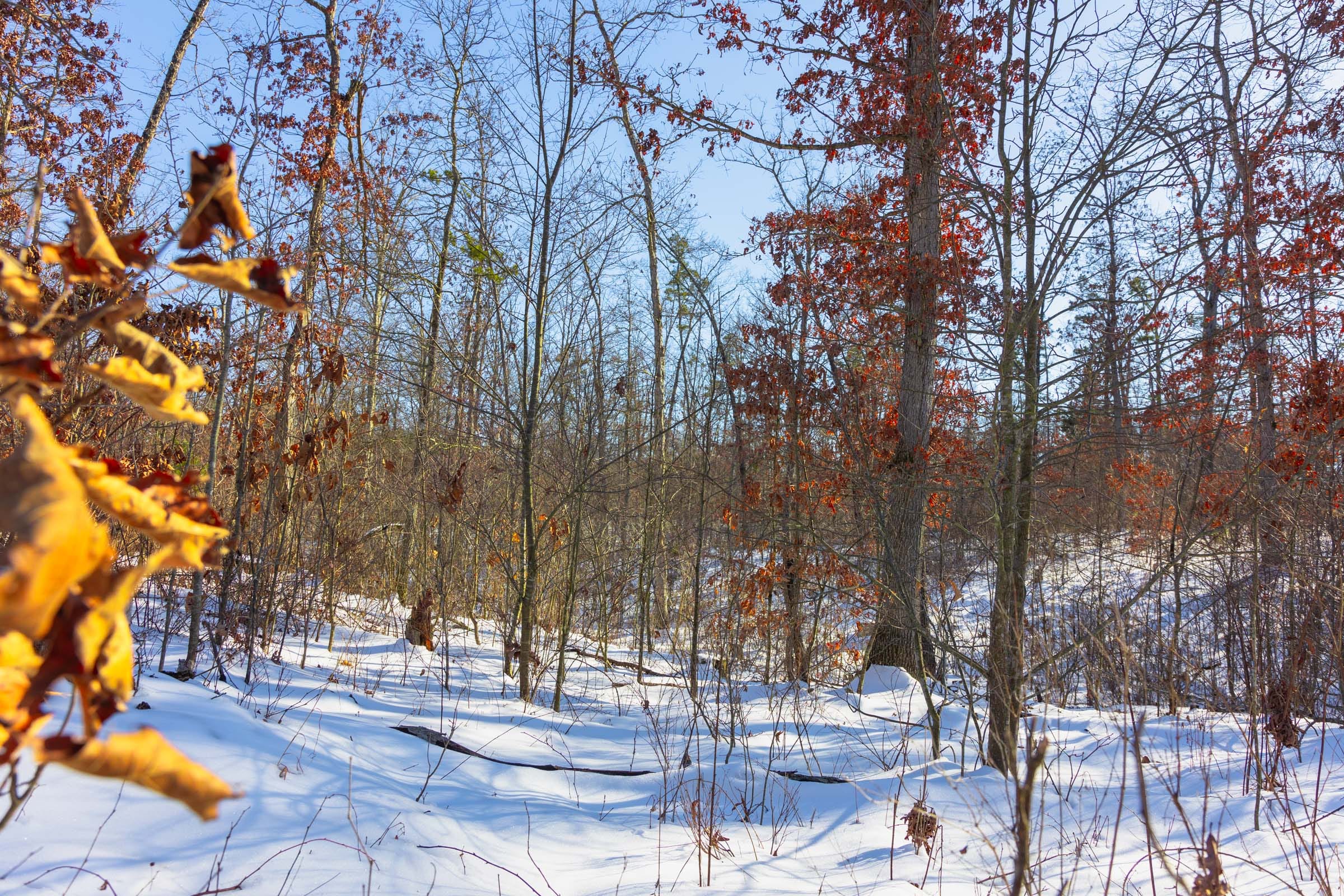Sleepy Hollow Phase I Tract 30 photo 4