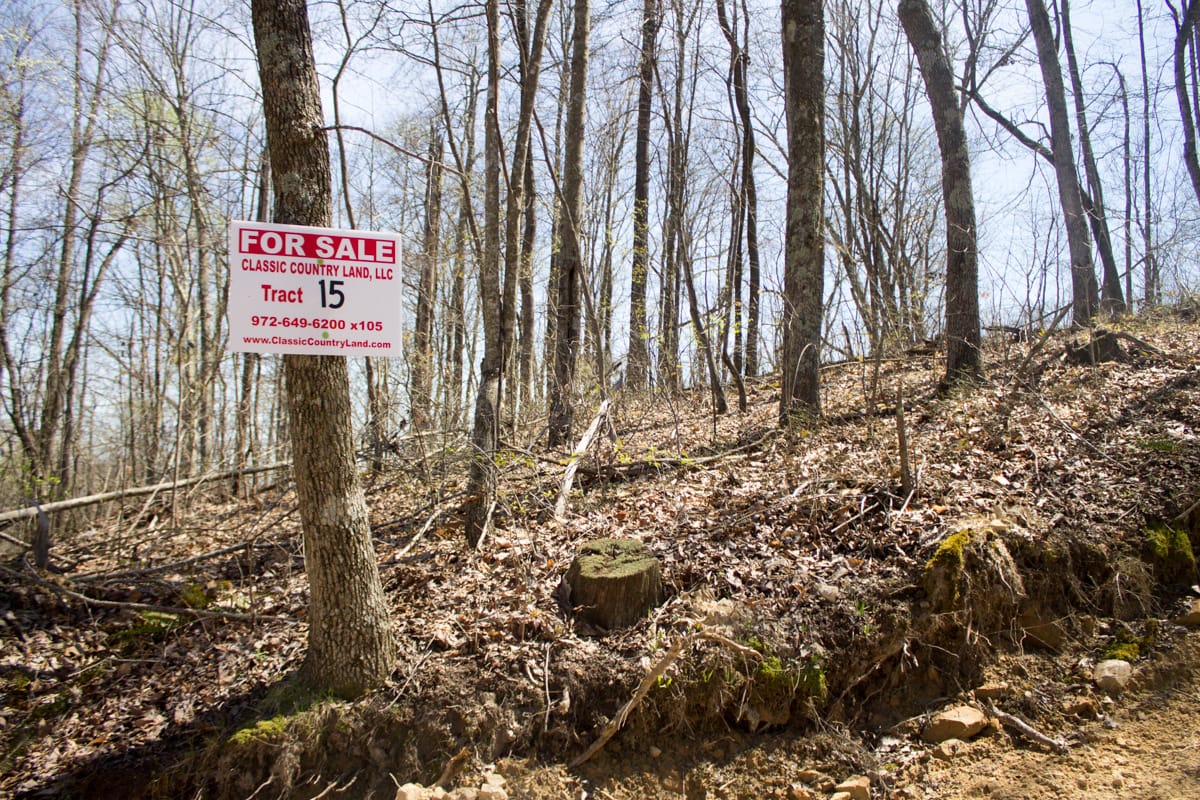 Chestnut Oak Ridge Tract 15 photo 1