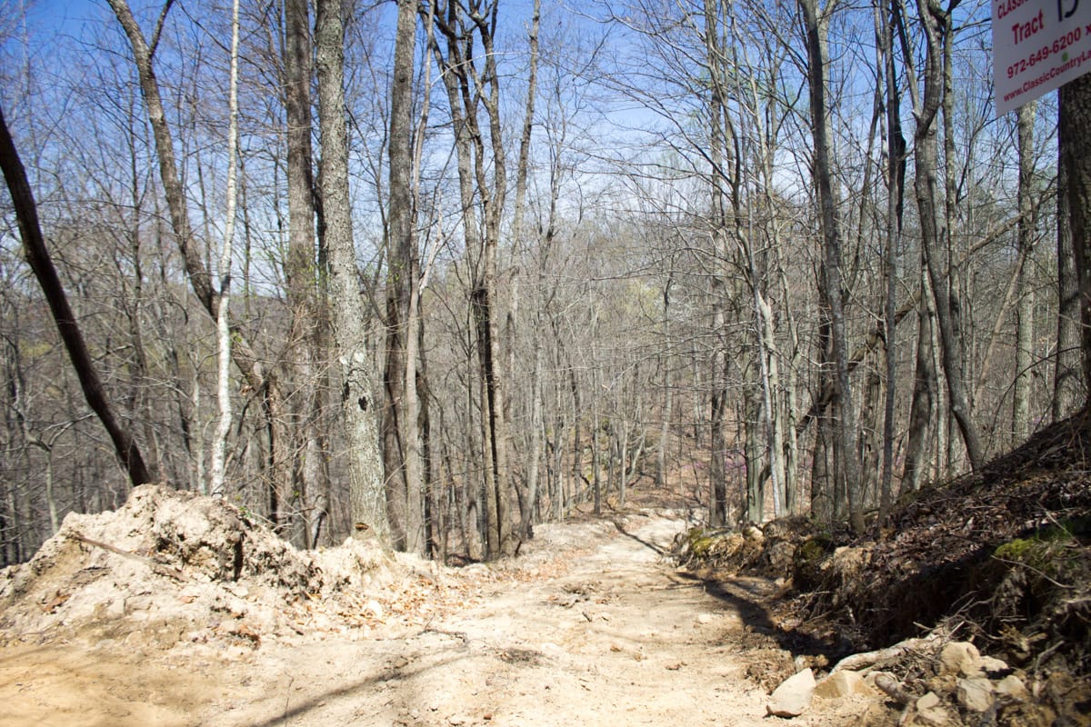 Chestnut Oak Ridge Tract 15 photo 2