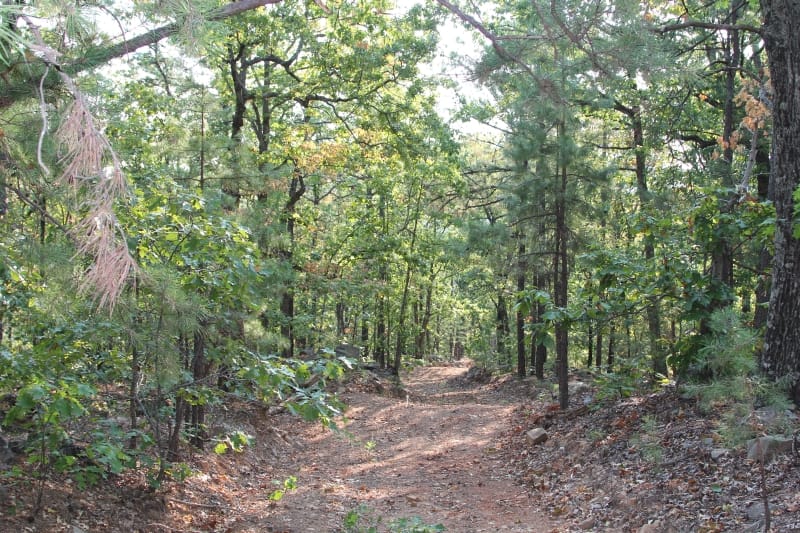 Lake View Ranch Tract 32 photo 1
