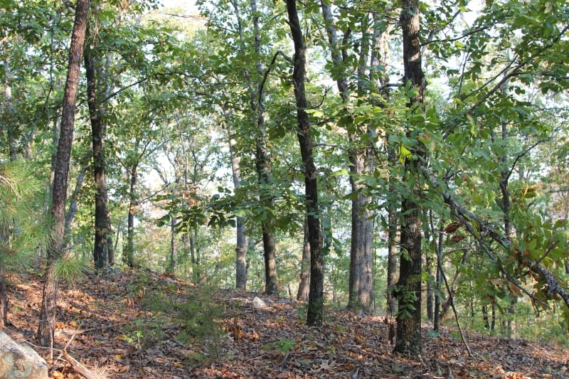Lake View Ranch Tract 32 photo 2