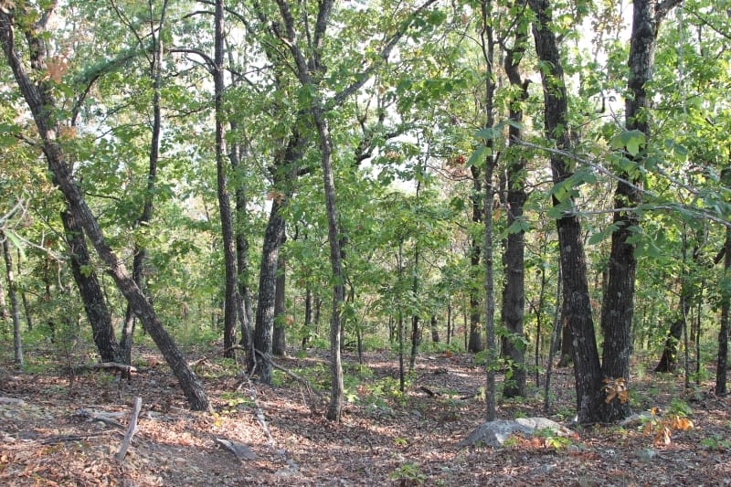 Lake View Ranch Tract 32 photo 3