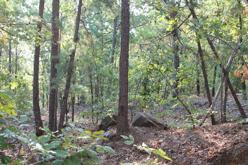 Lake View Ranch Tract 32 photo 5