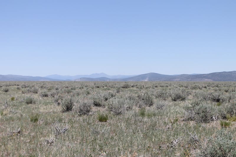 Moon Valley Ranch Tract 72 photo 5