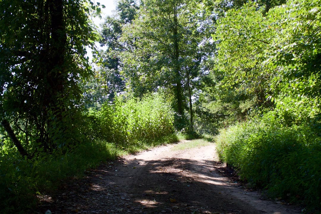 Heritage Hollow Tract 7 photo 1