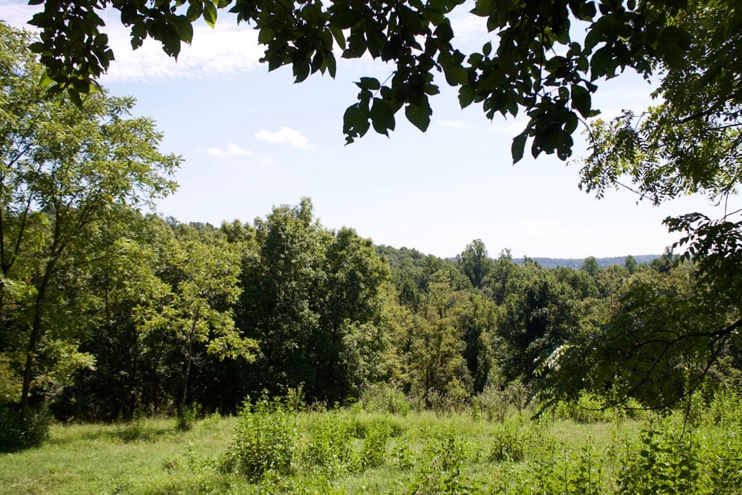 Heritage Hollow Tract 7 photo 2