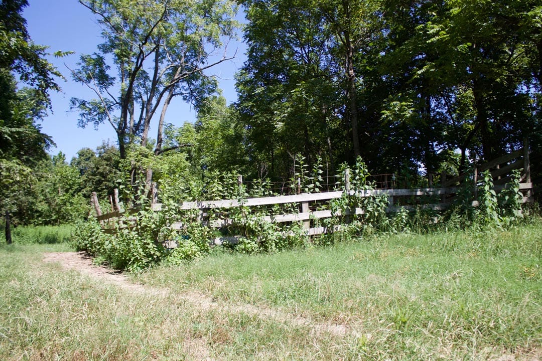 Heritage Hollow Tract 7 photo 3