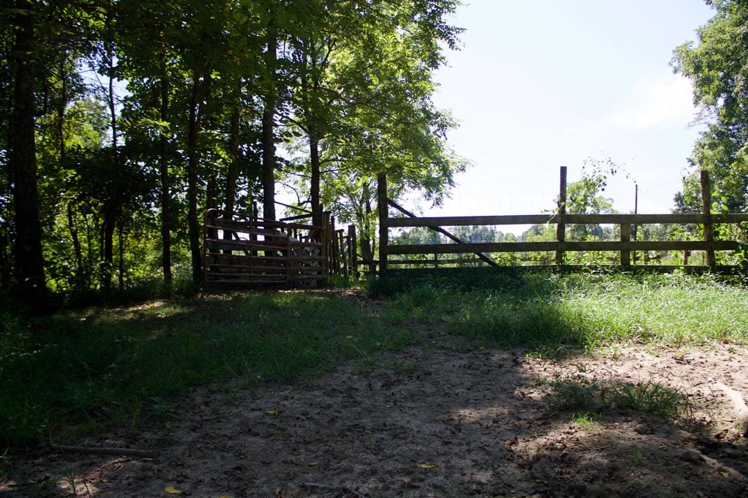Heritage Hollow Tract 7 photo 4