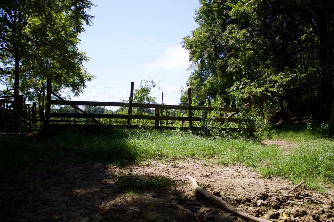 Heritage Hollow Tract 7 photo 5