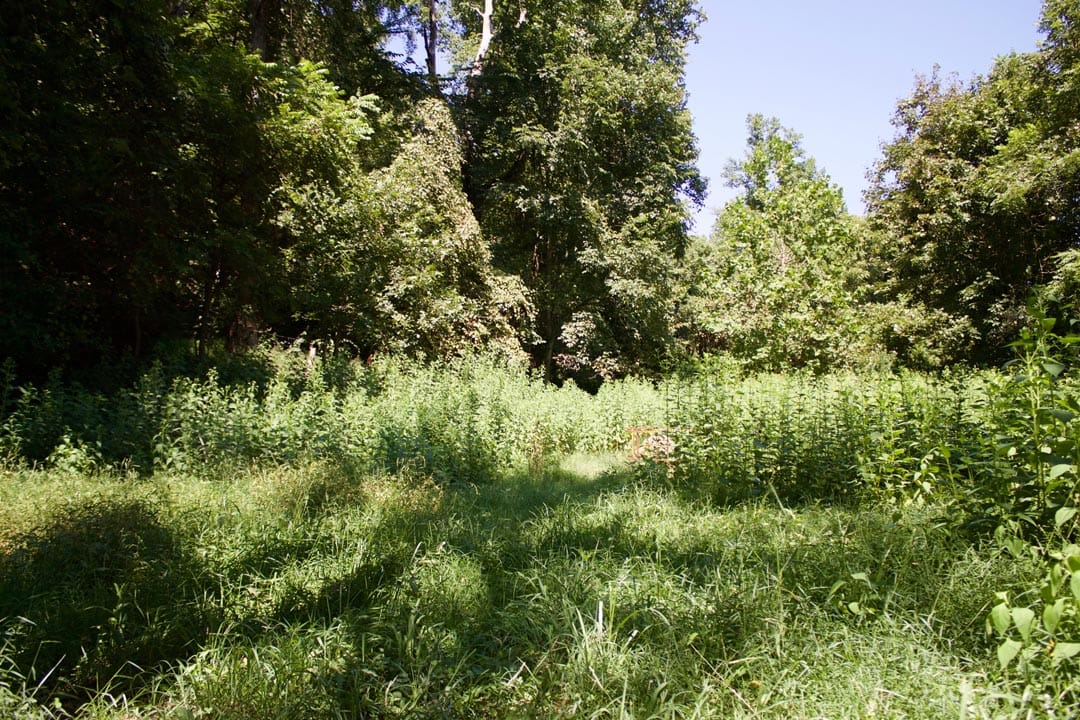 Heritage Hollow Tract 7 photo 6
