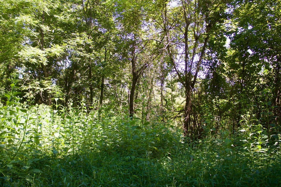 Heritage Hollow Tract 7 photo 7