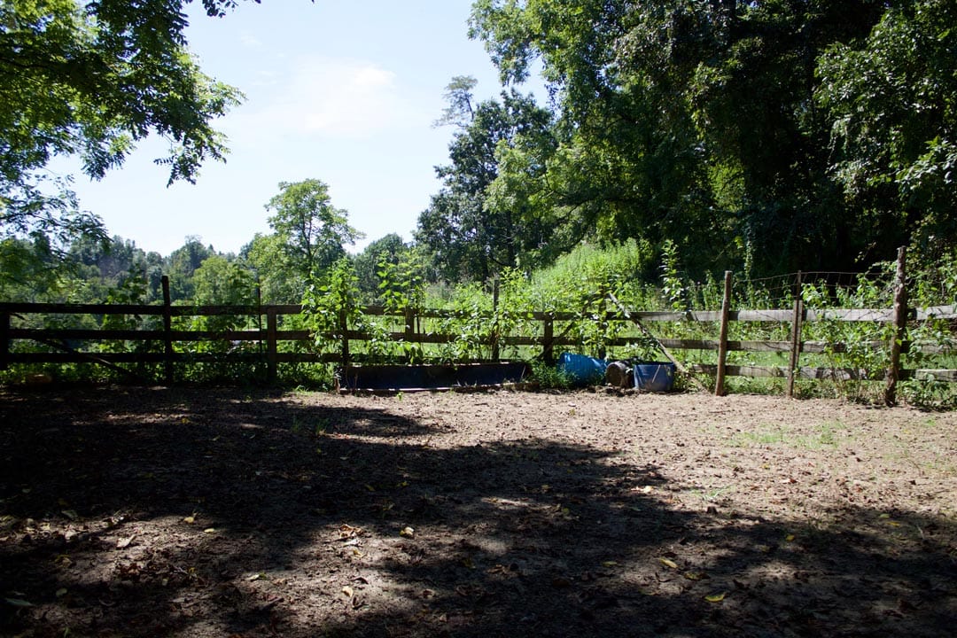 Heritage Hollow Tract 7 photo 8