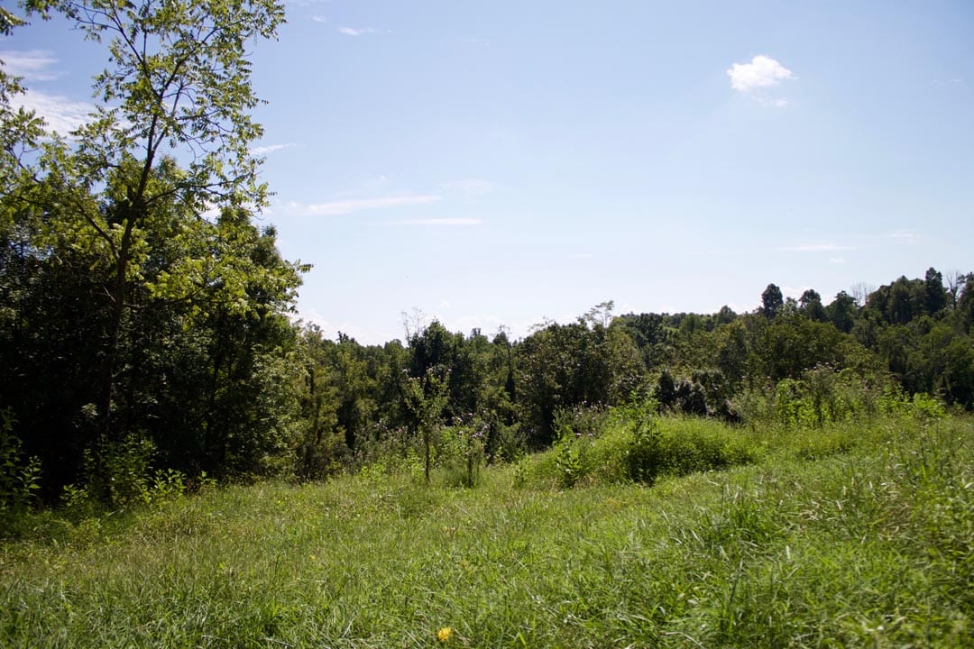 Heritage Hollow Tract 7 photo 9