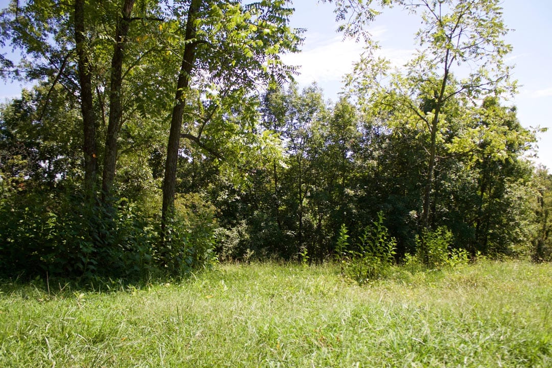 Heritage Hollow Tract 7 photo 10