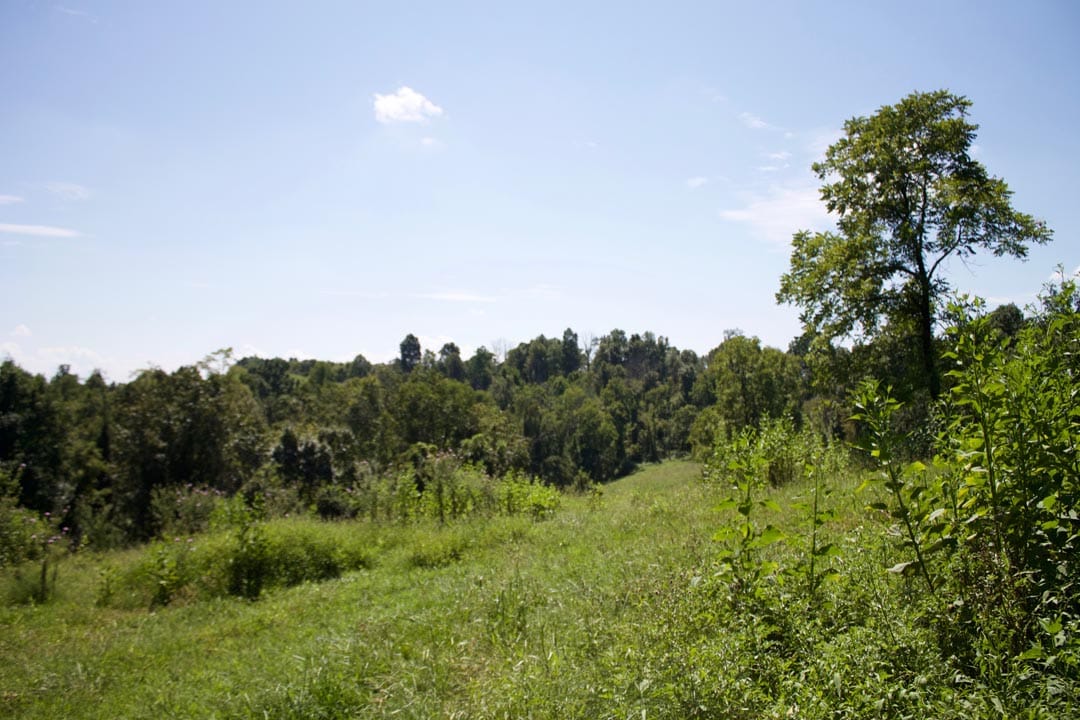 Heritage Hollow Tract 7 photo 11