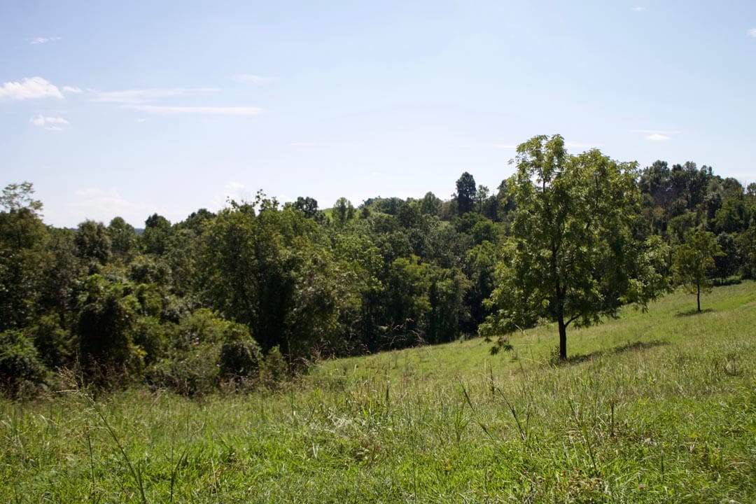 Heritage Hollow Tract 7 photo 12