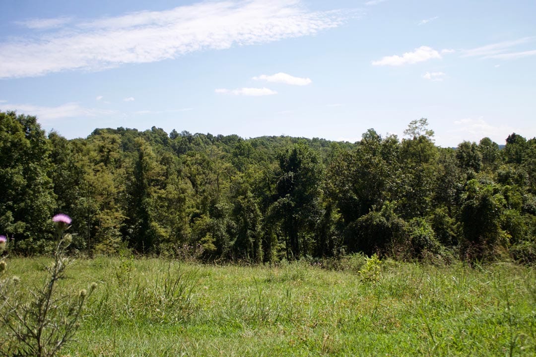Heritage Hollow Tract 7 photo 13