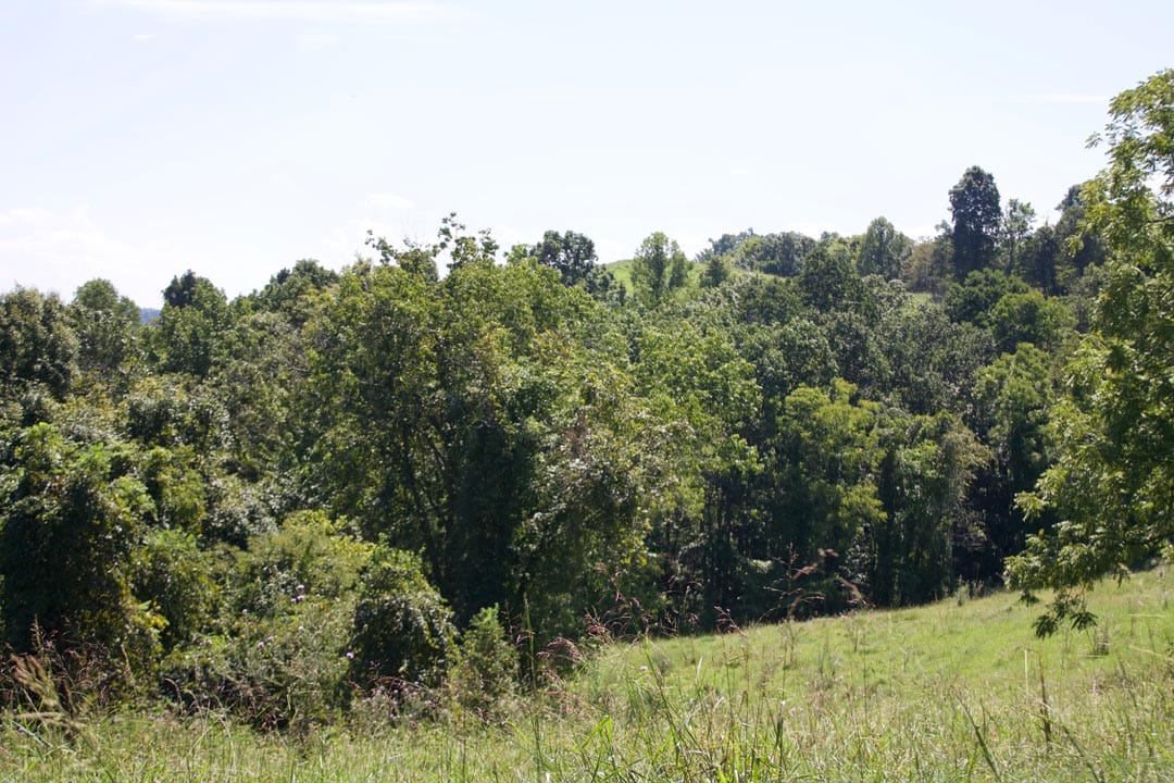Heritage Hollow Tract 7 photo 14