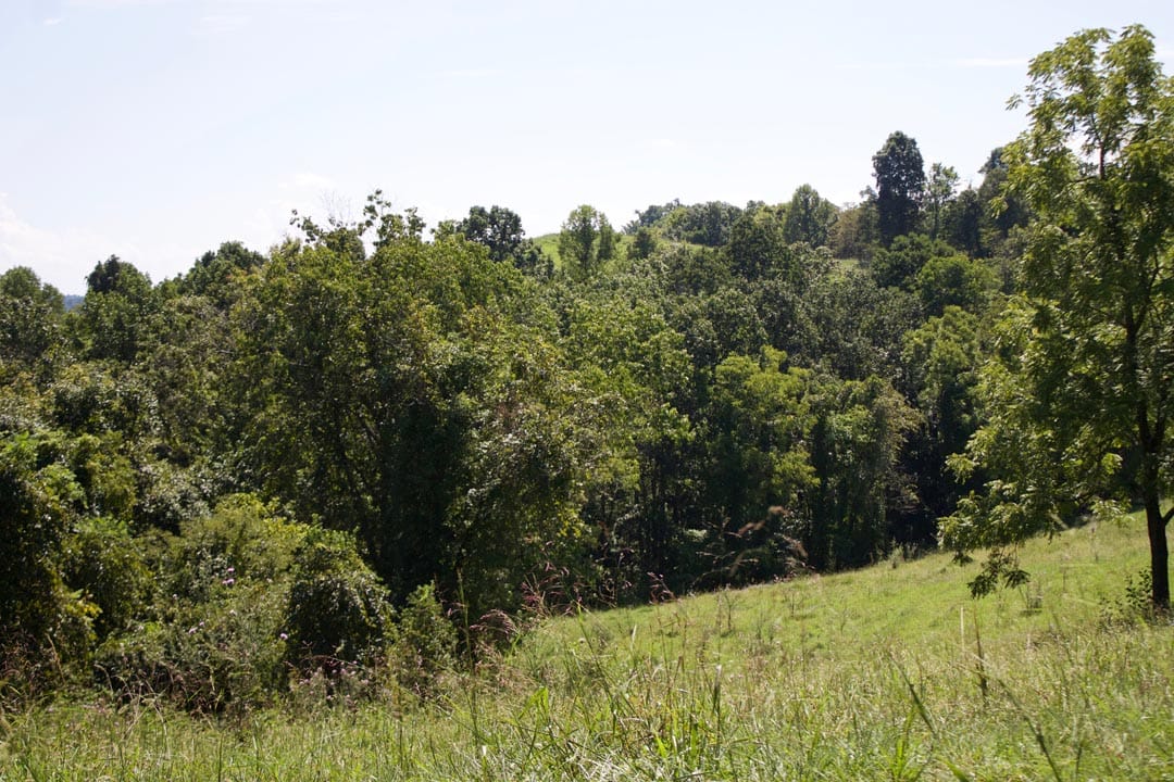 Heritage Hollow Tract 7 photo 15