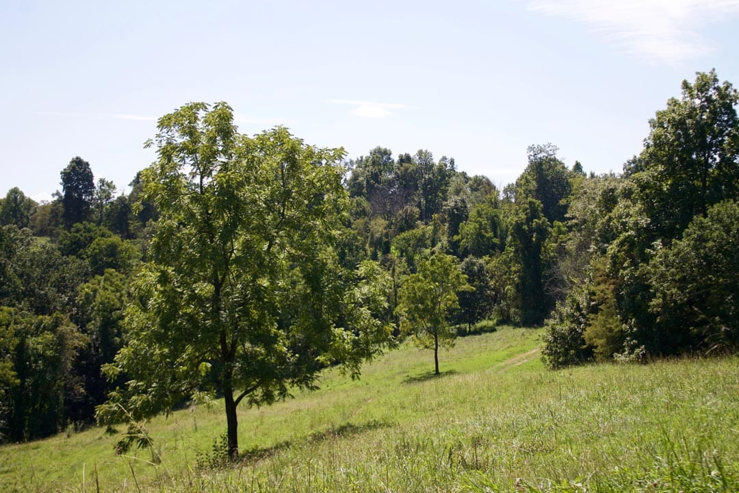 Heritage Hollow Tract 7 photo 16
