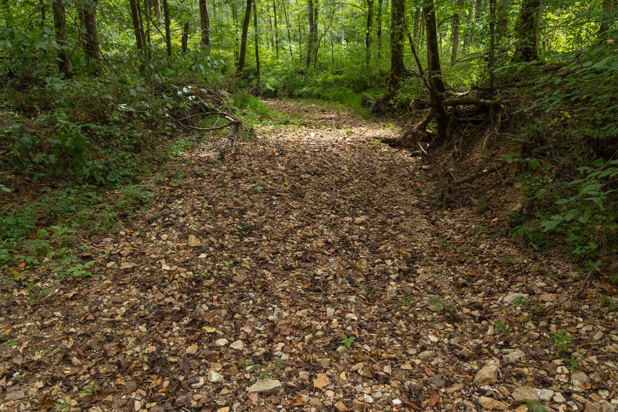 Big White Oak Tract 96 photo 7
