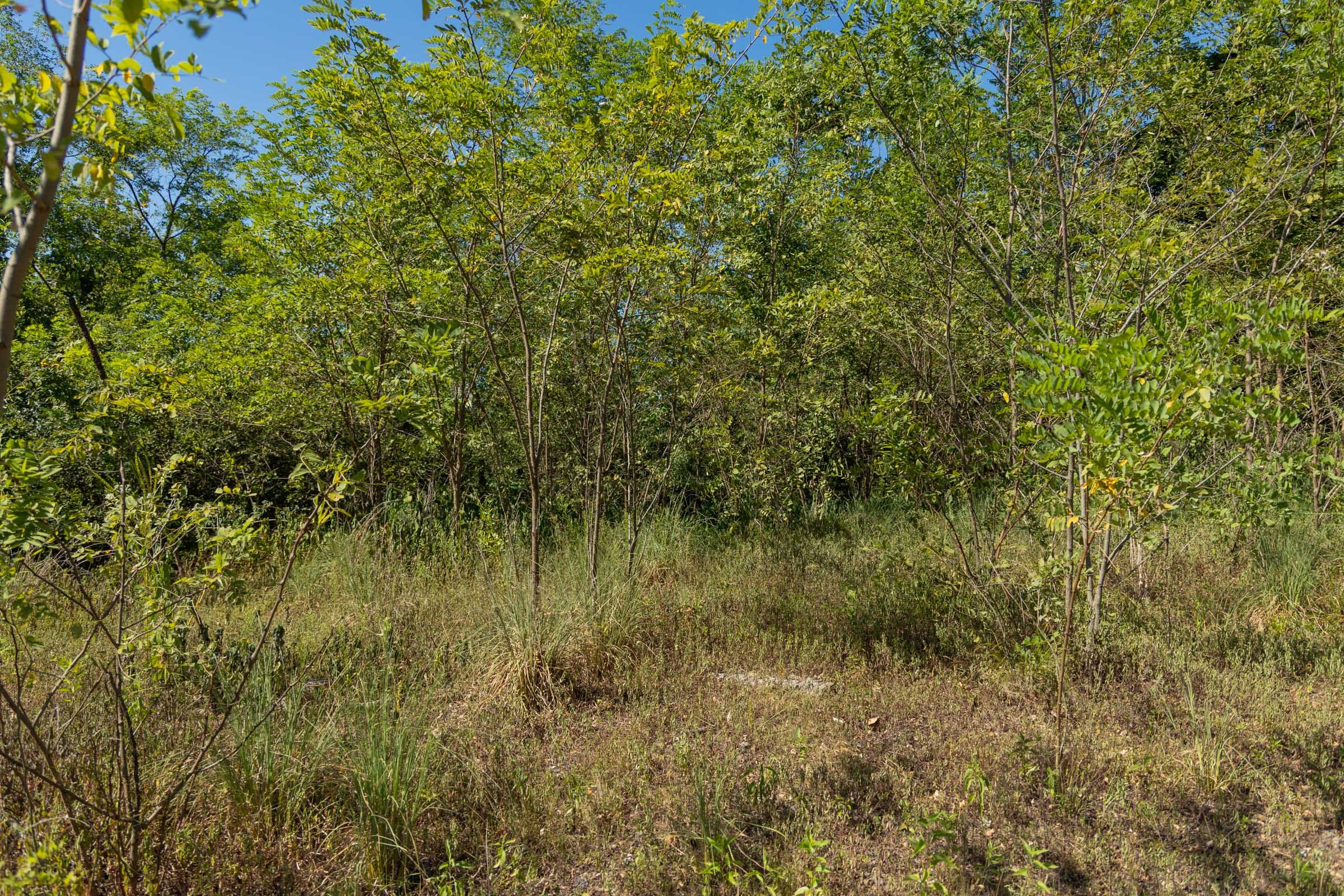 Big White Oak Tract 96 photo 19