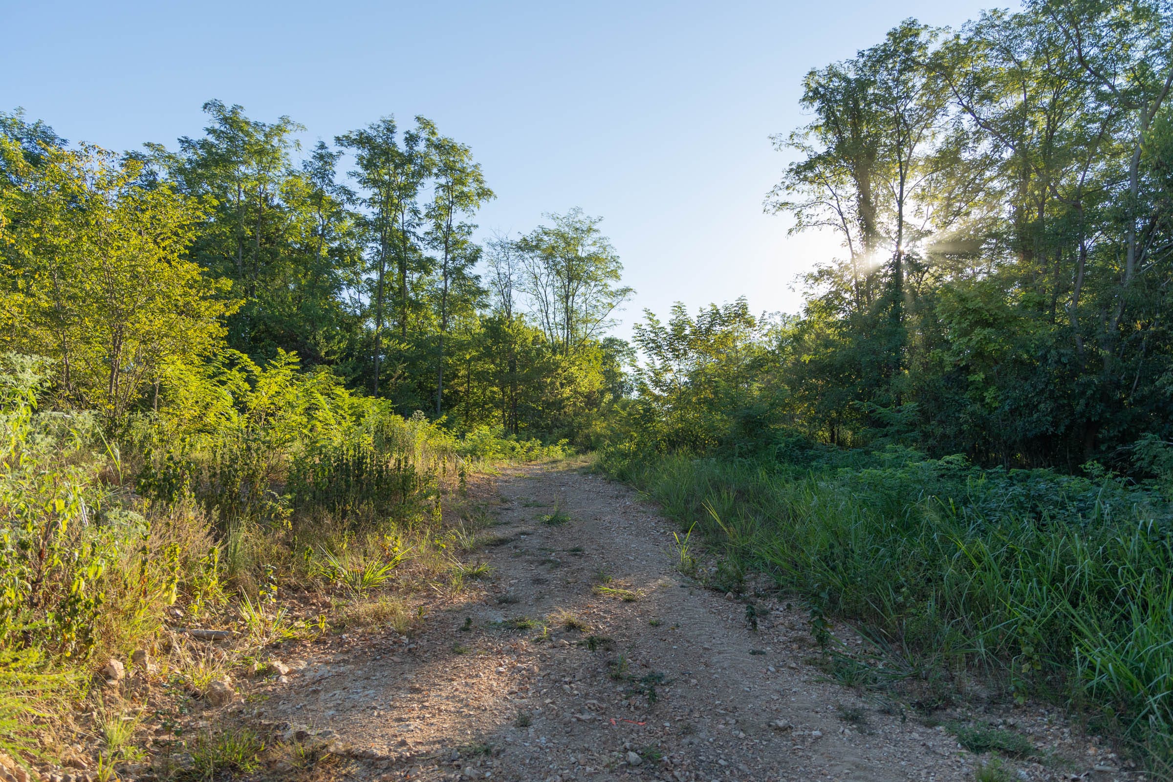 Big White Oak Tract 96 photo 18