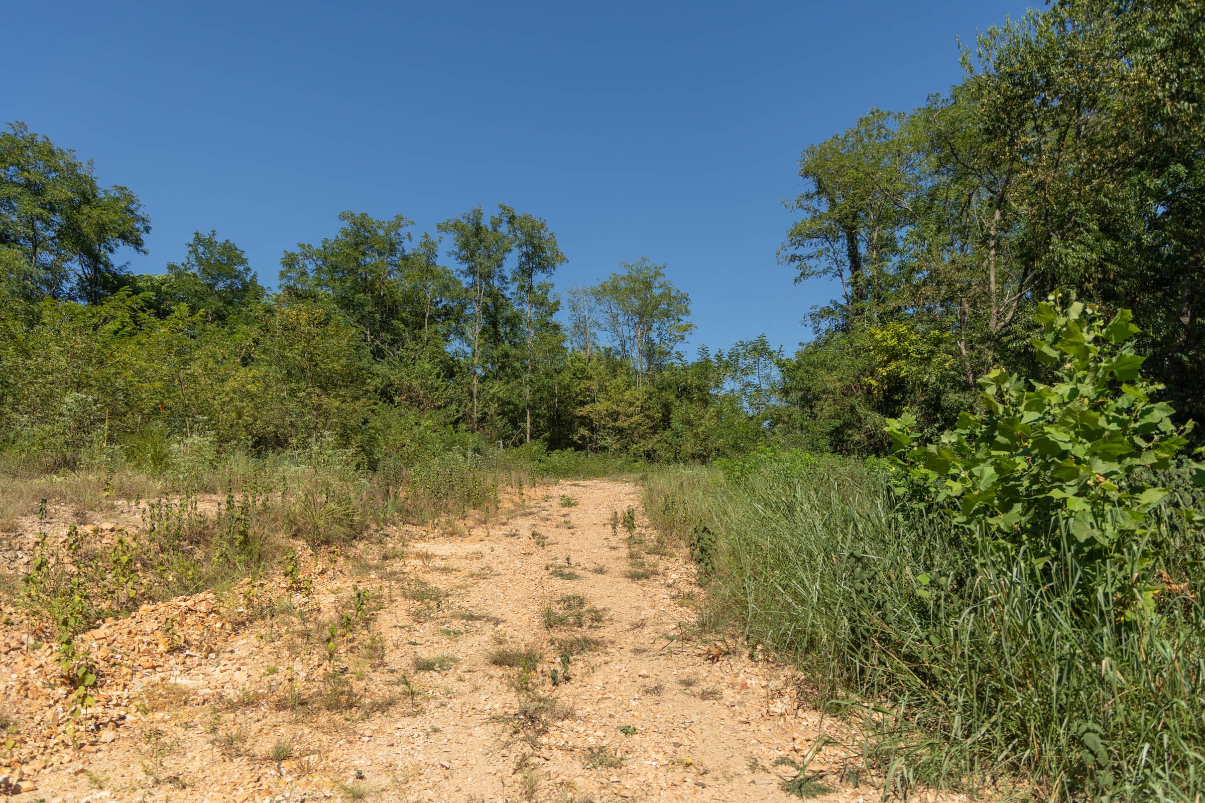Big White Oak Tract 96 photo 17