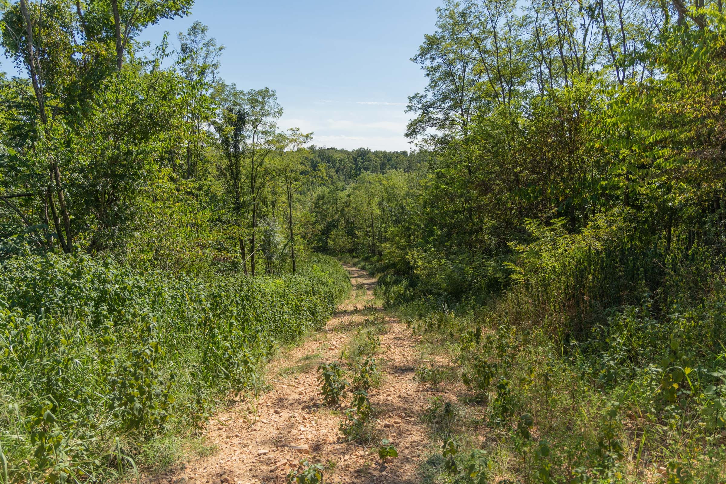 Big White Oak Tract 96 photo 13