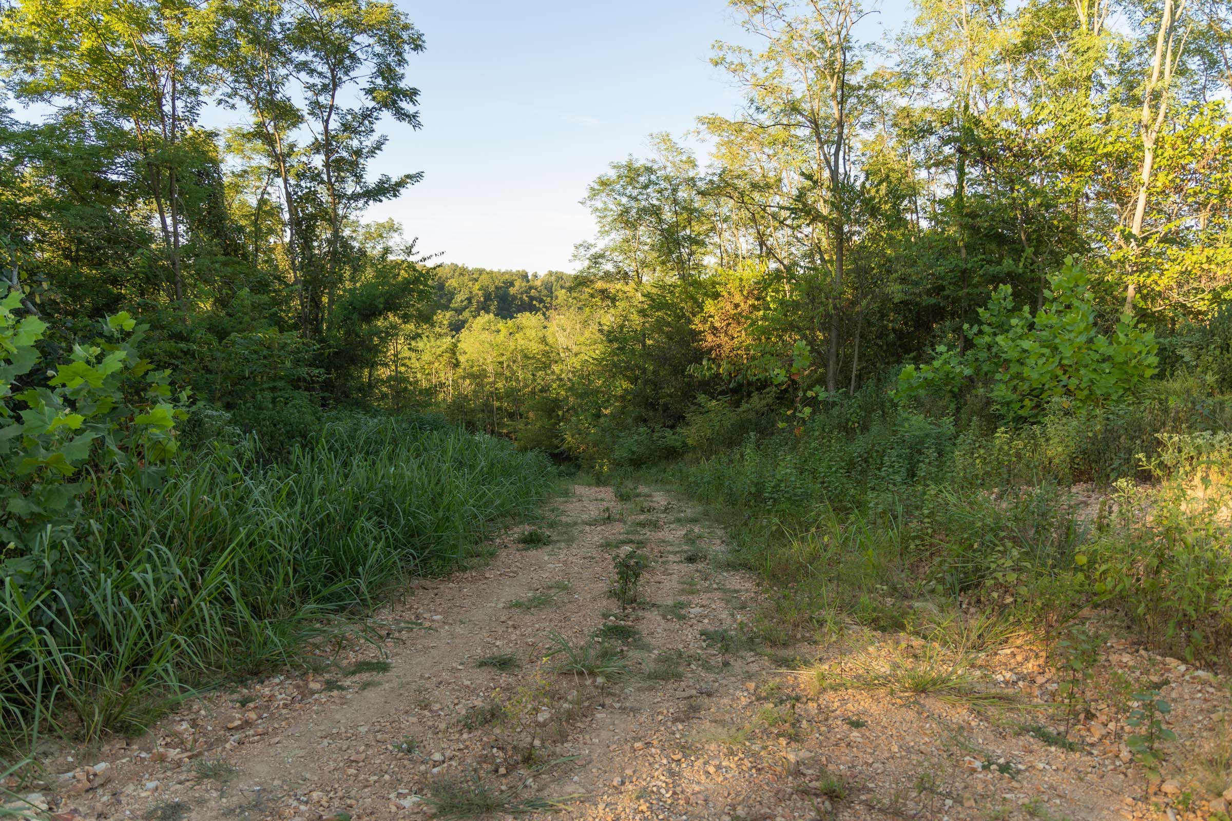 Big White Oak Tract 96 photo 8