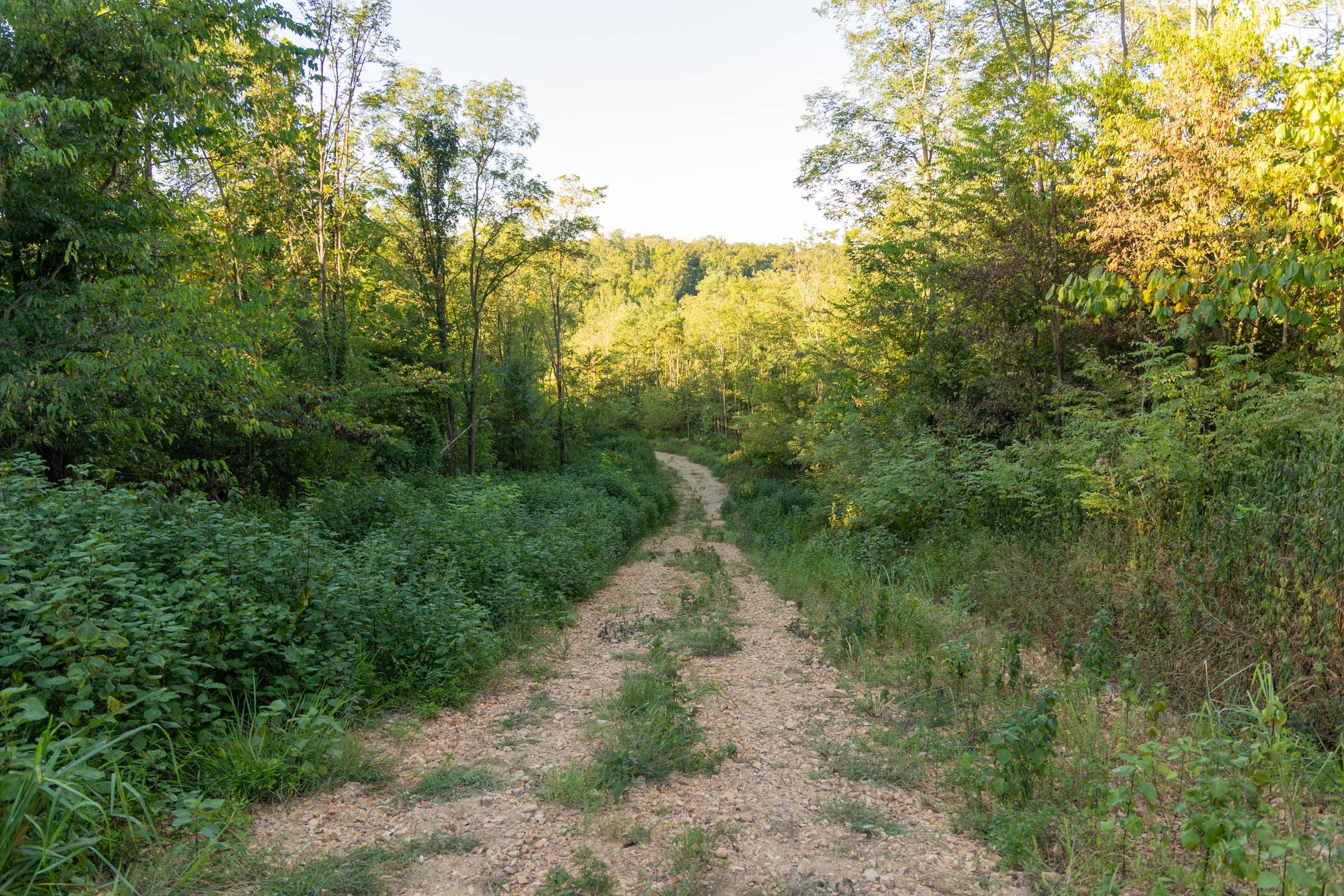 Big White Oak Tract 96 photo 1