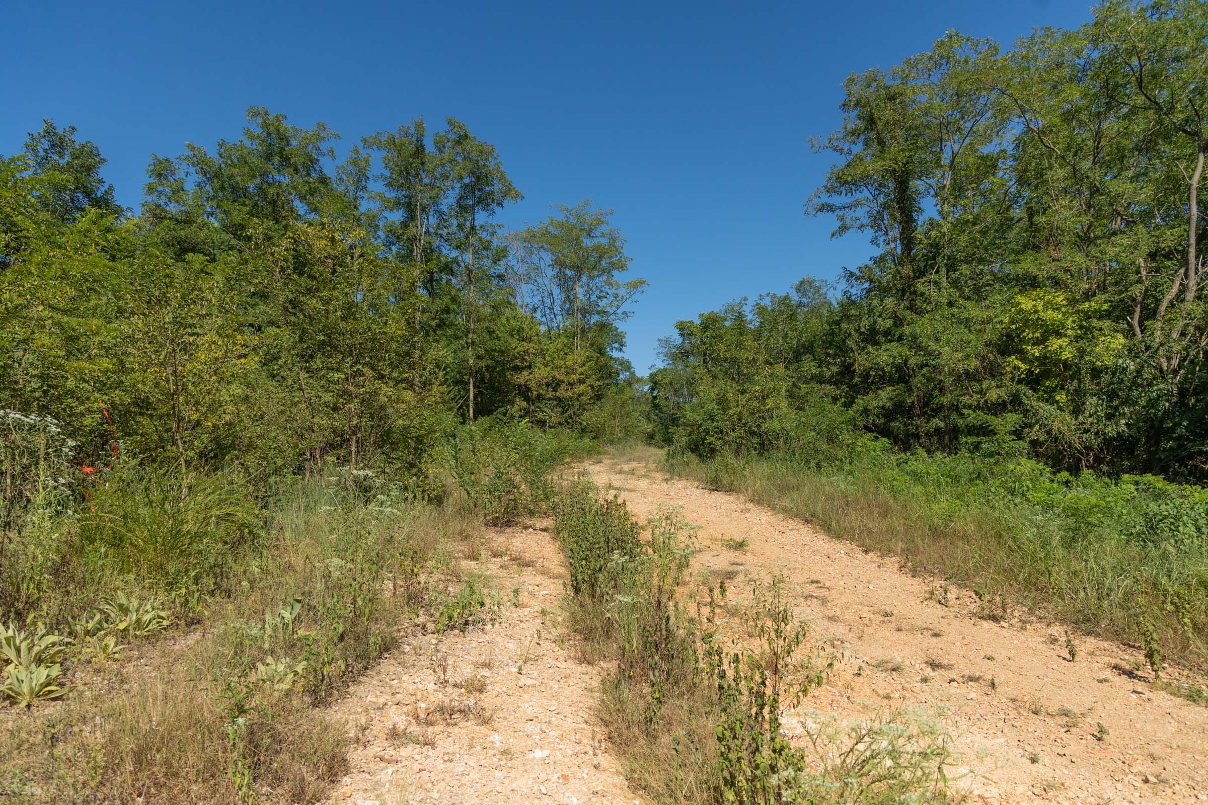 Big White Oak Tract 96 photo 2