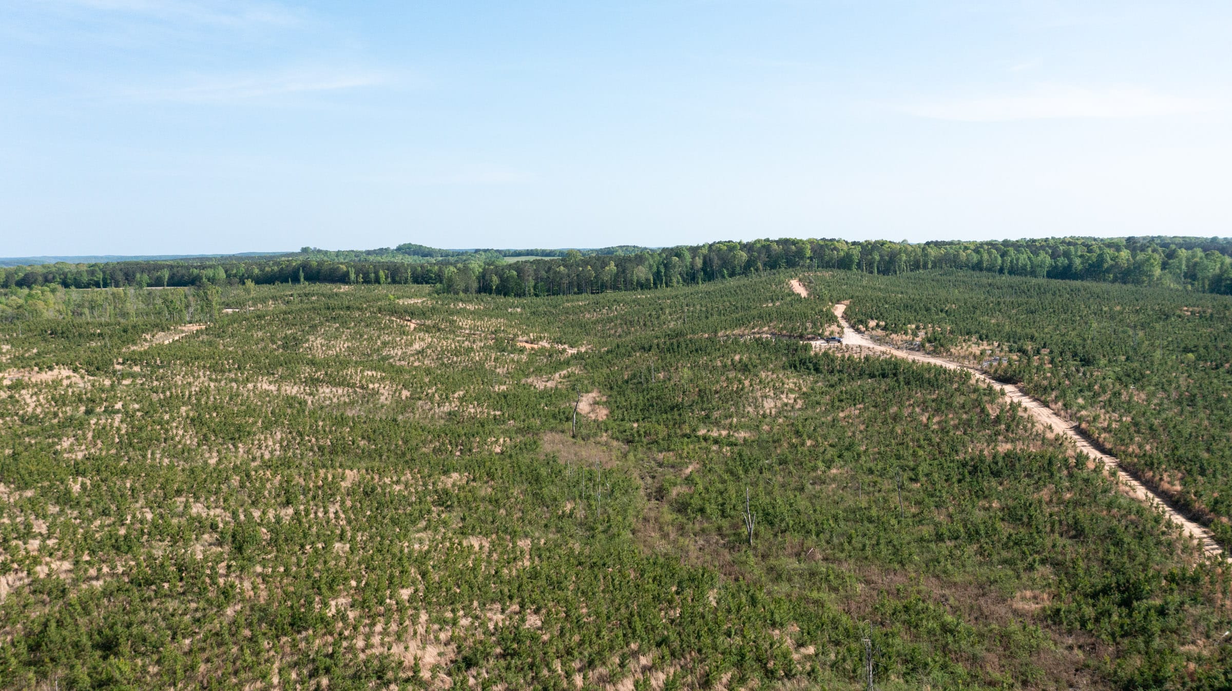 Clear Wood Tract 68 photo 4