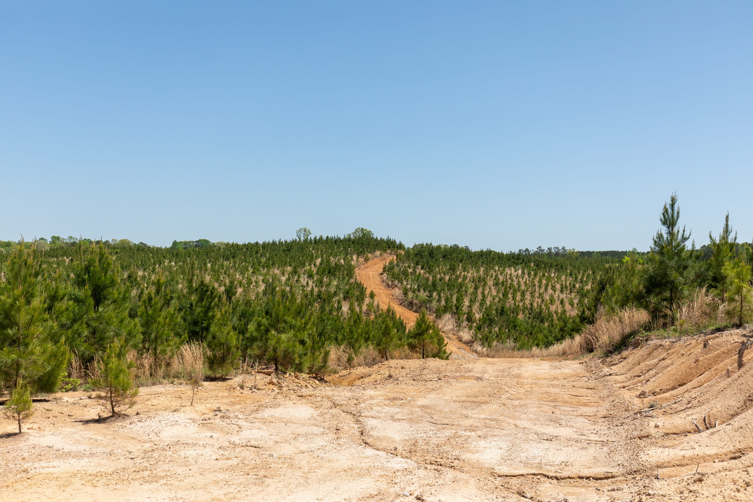 Clear Wood Tract 68 photo 8