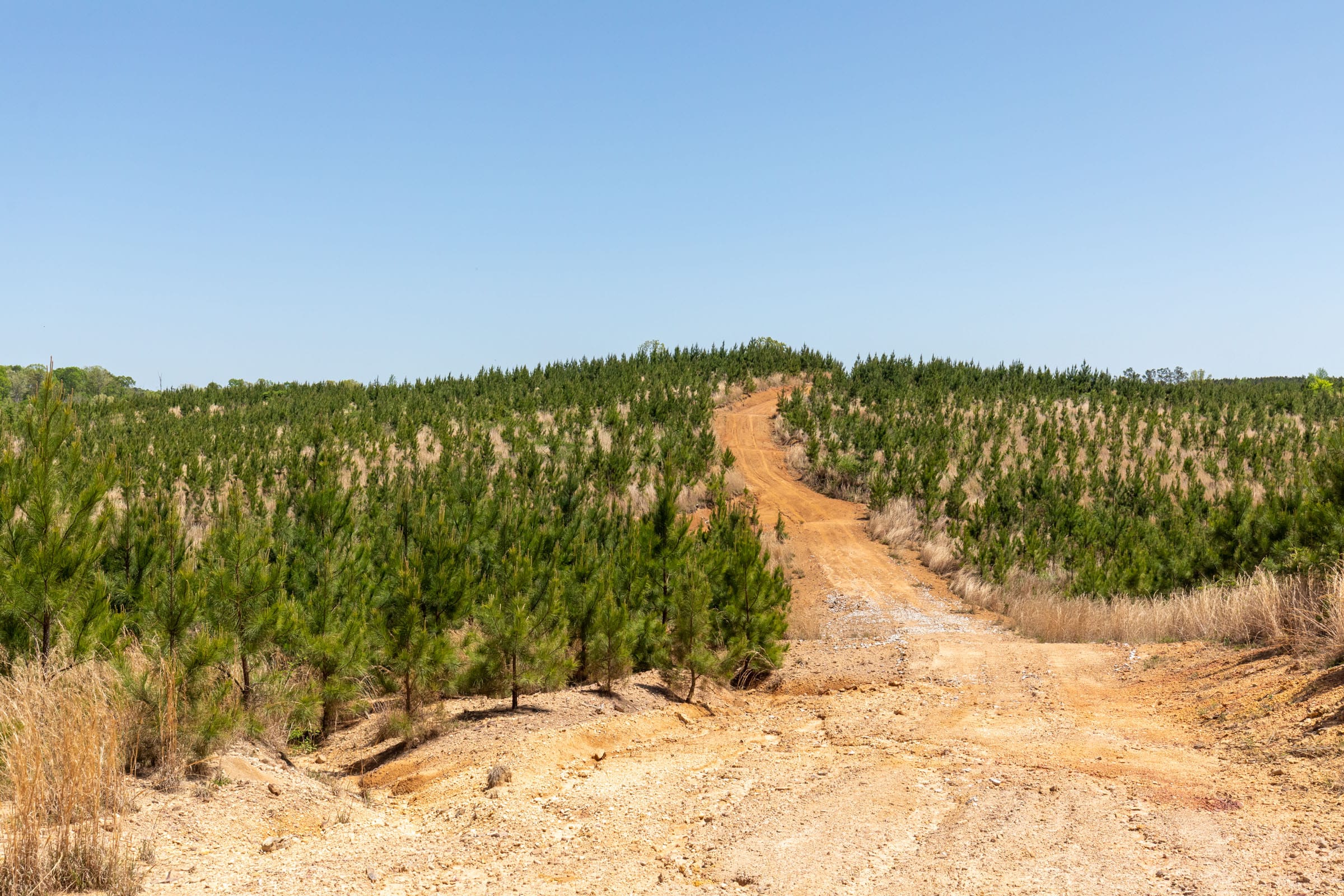 Clear Wood Tract 68 photo 1